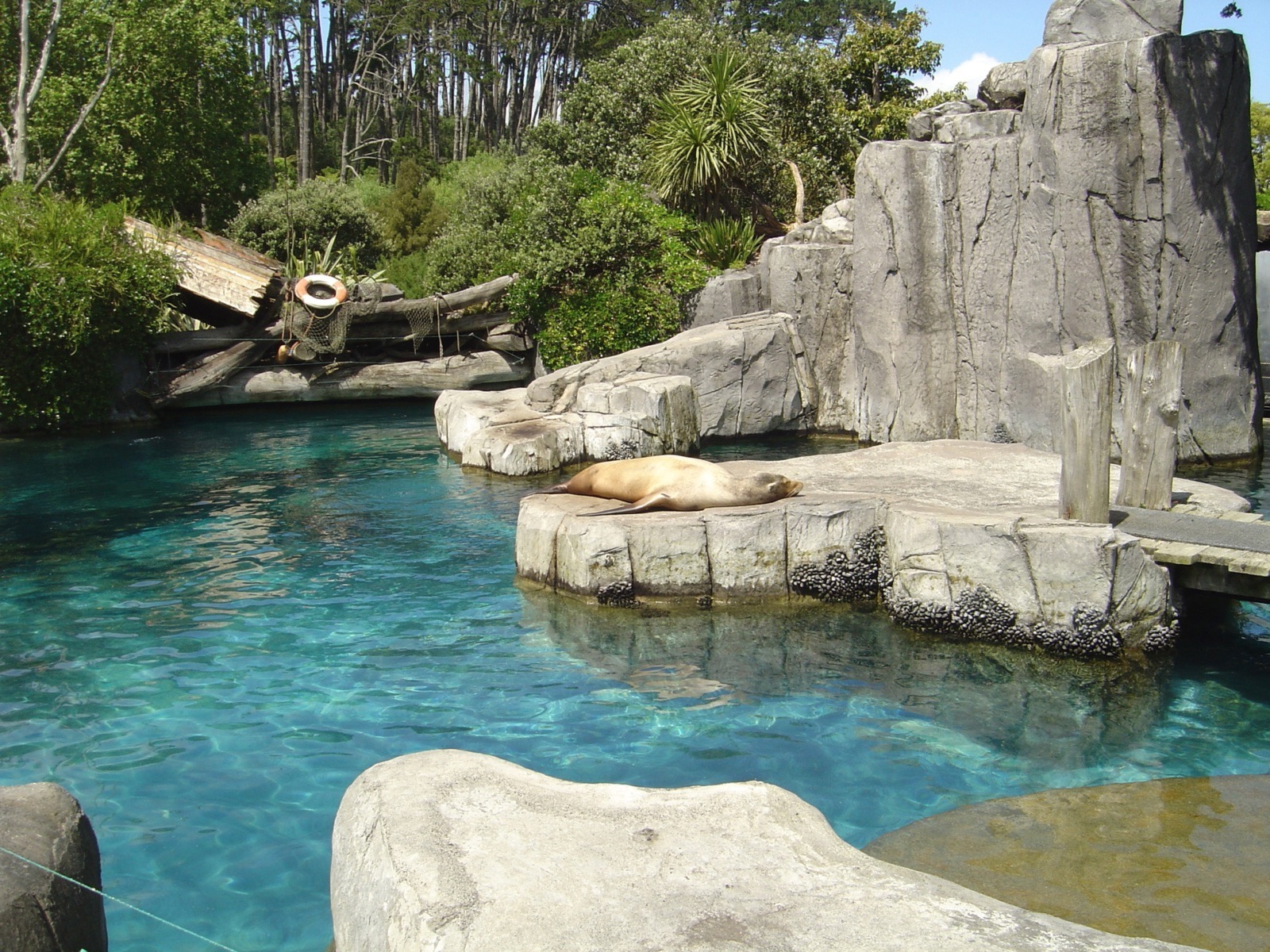 zoo1.JPG